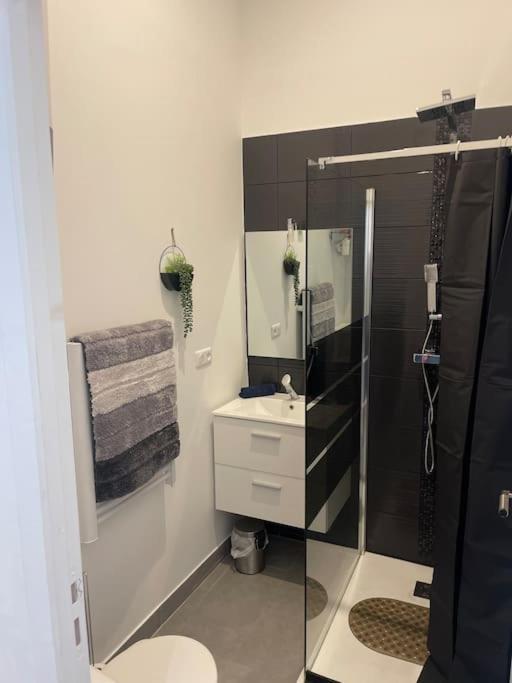 Joli Studio Maisonnette Avec Cachet Тулуза Экстерьер фото